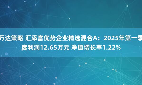 万达策略 汇添富优势企业精选混合A：2025年第一季度利润12.65万元 净值增长率1.22%