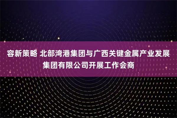 容新策略 北部湾港集团与广西关键金属产业发展集团有限公司开展工作会商