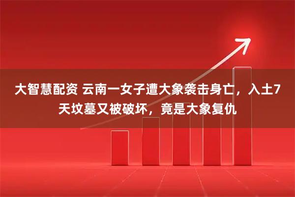 大智慧配资 云南一女子遭大象袭击身亡，入土7天坟墓又被破坏，竟是大象复仇