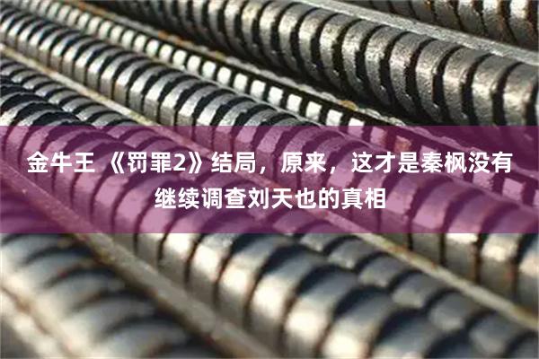 金牛王 《罚罪2》结局，原来，这才是秦枫没有继续调查刘天也的真相